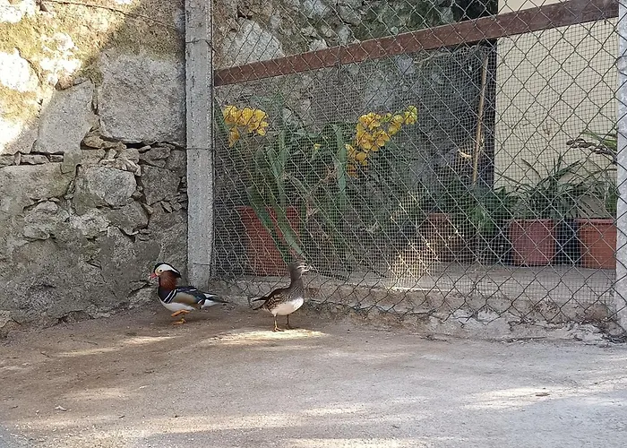 Casa De Santa Luzia A