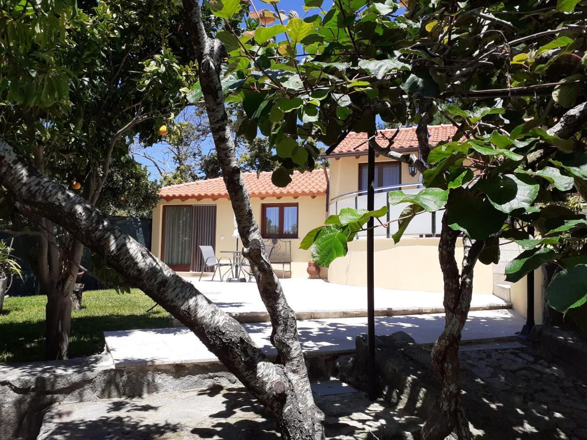 Casa De Santa Luzia A Vila Praia de Ancora