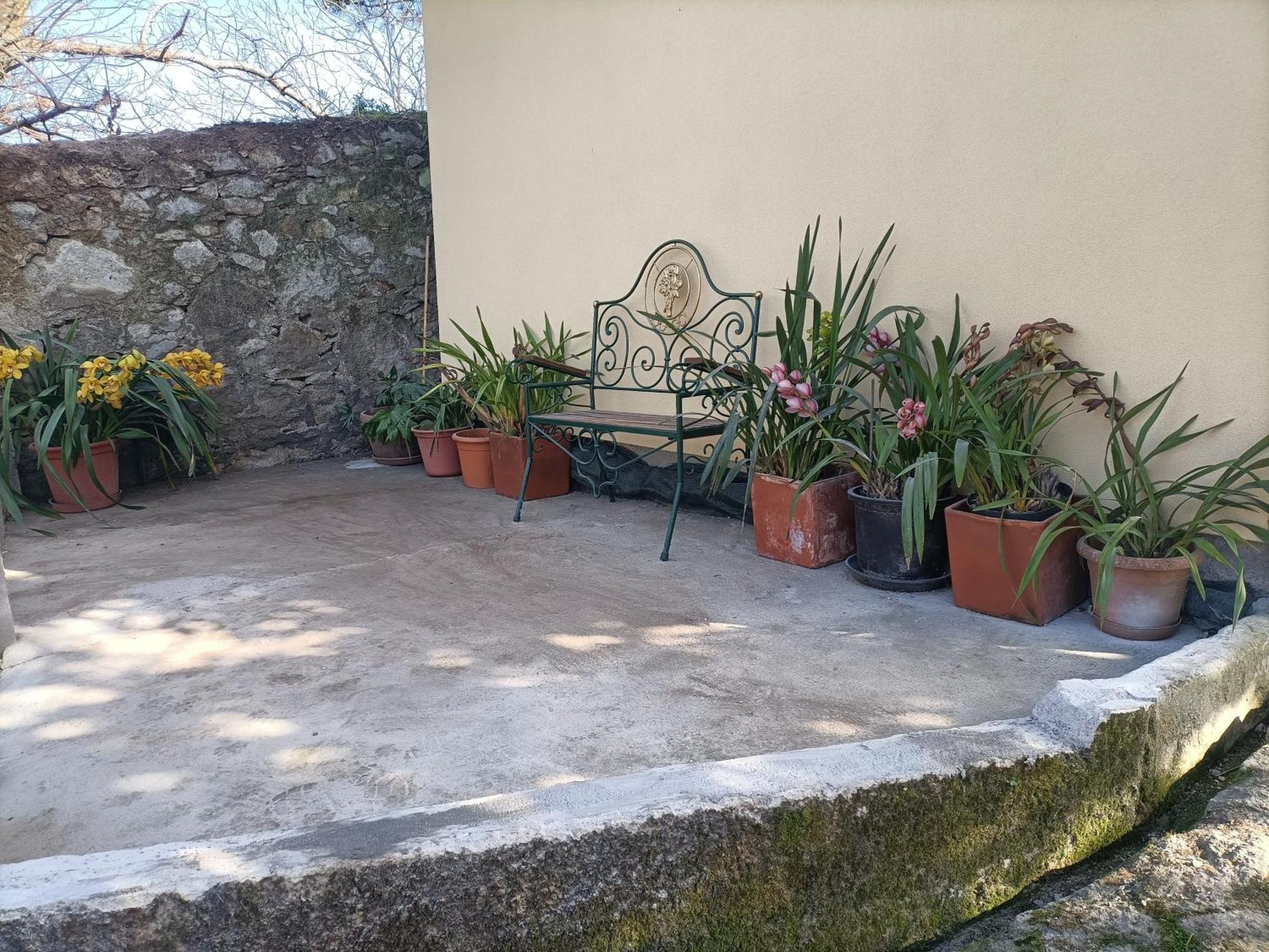 Casa De Santa Luzia A Apartment Vila Praia de Ancora