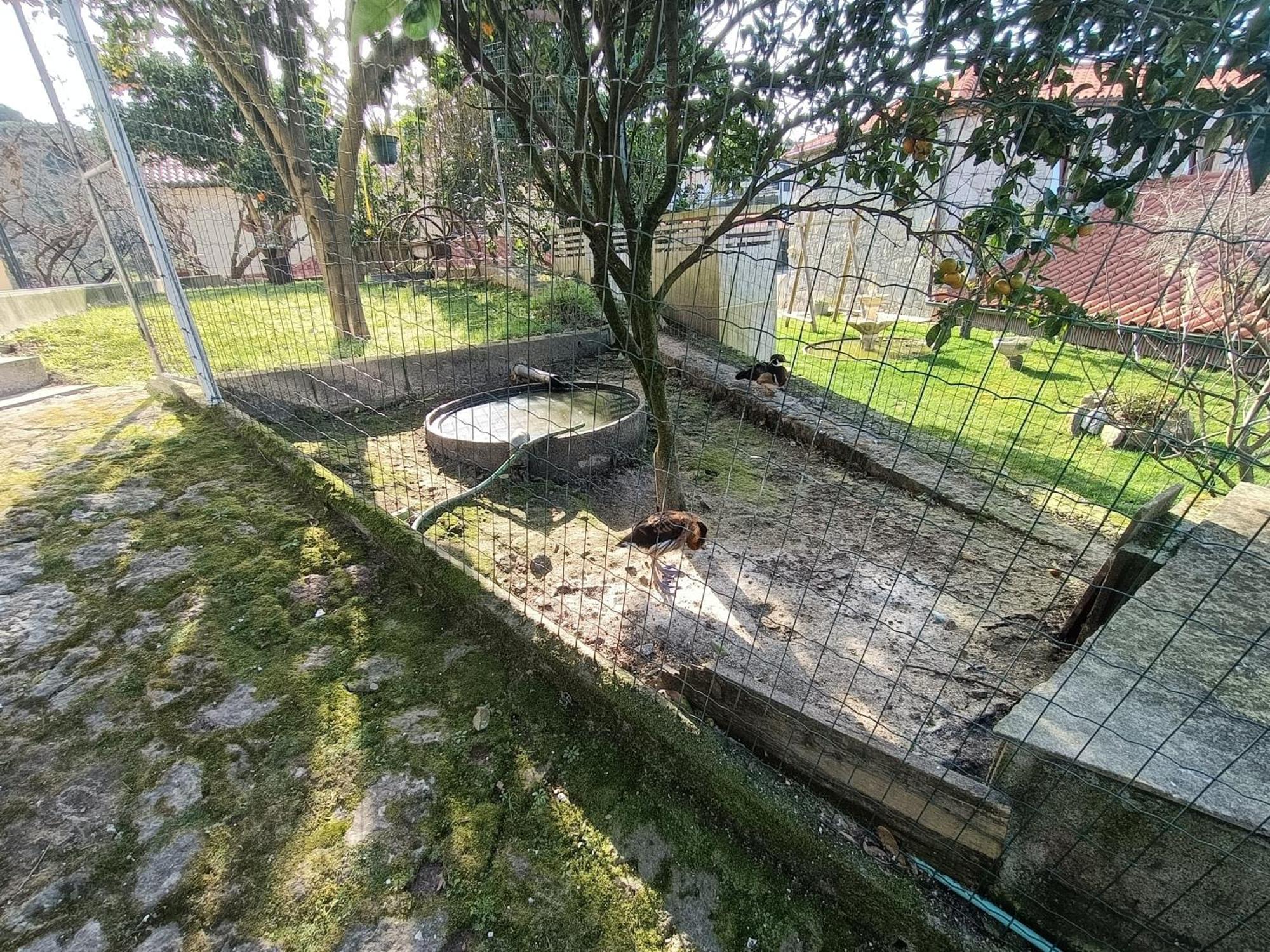 Casa De Santa Luzia A